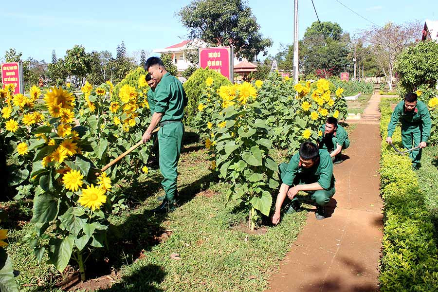  Chiến sĩ Đại đội 1, Tiểu đoàn Trinh sát 28, Bộ Tham mưu Quân đoàn 3 bên vườn hoa hướng dương đang nở rộ. Ảnh: V.D.H