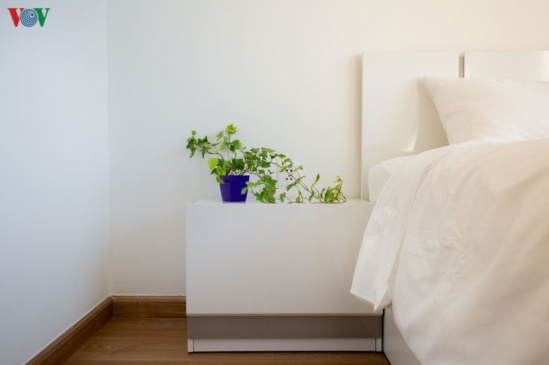 Tab đầu giường được chủ nhà trang trí thêm cây xanh phong thuỷ. Tab đầu giường được chủ nhà trang trí thêm cây xanh phong thuỷ.