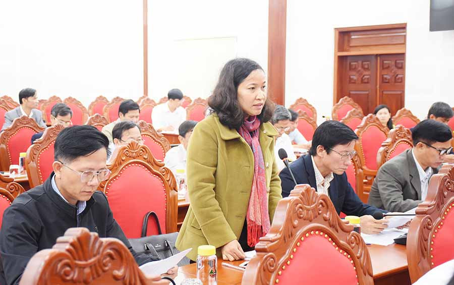  Phó Bí thư Thường trực Huyện ủy Đak Pơ Lê Thị Thanh Mai tham gia góp ý tại hội nghị tổng kết công tác kiểm tra, giám sát và thi hành kỷ luật trong Đảng năm 2019. Ảnh: M.N