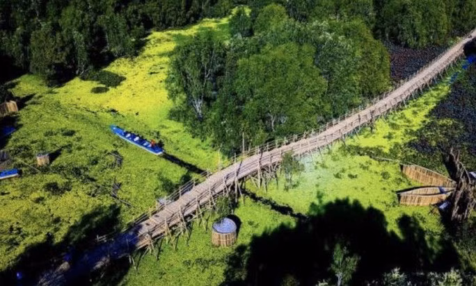 Chiếc cầu tre dài nhất Việt Nam nhìn từ trên cao