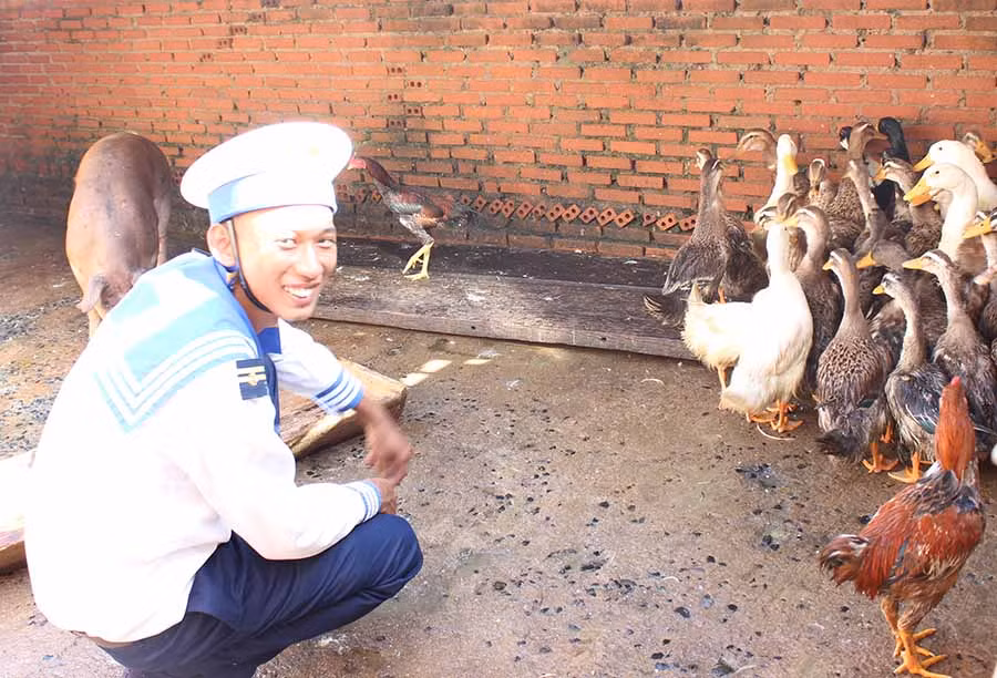  Chiến sĩ Đảo Đá Lớn C chăm sóc đàn gia súc, gia cầm. Ảnh: N.D