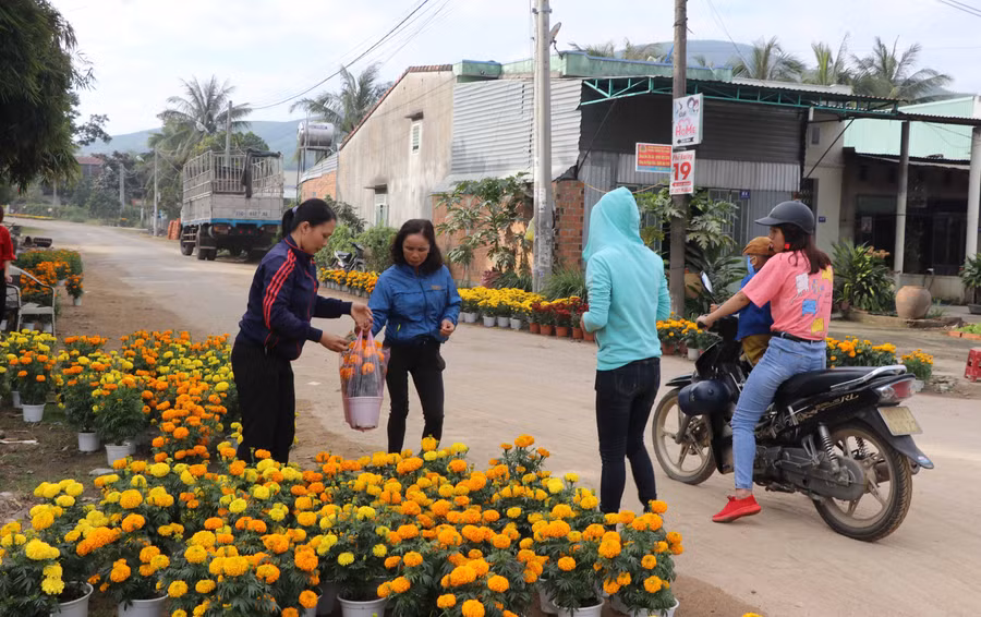 Tận dụng khu vực trước sân nhà, hàng chục hộ dân bày bán vạn hoa, đáp ứng nhu cầu trưng cúng của người dân. Ảnh: Ngọc Minh