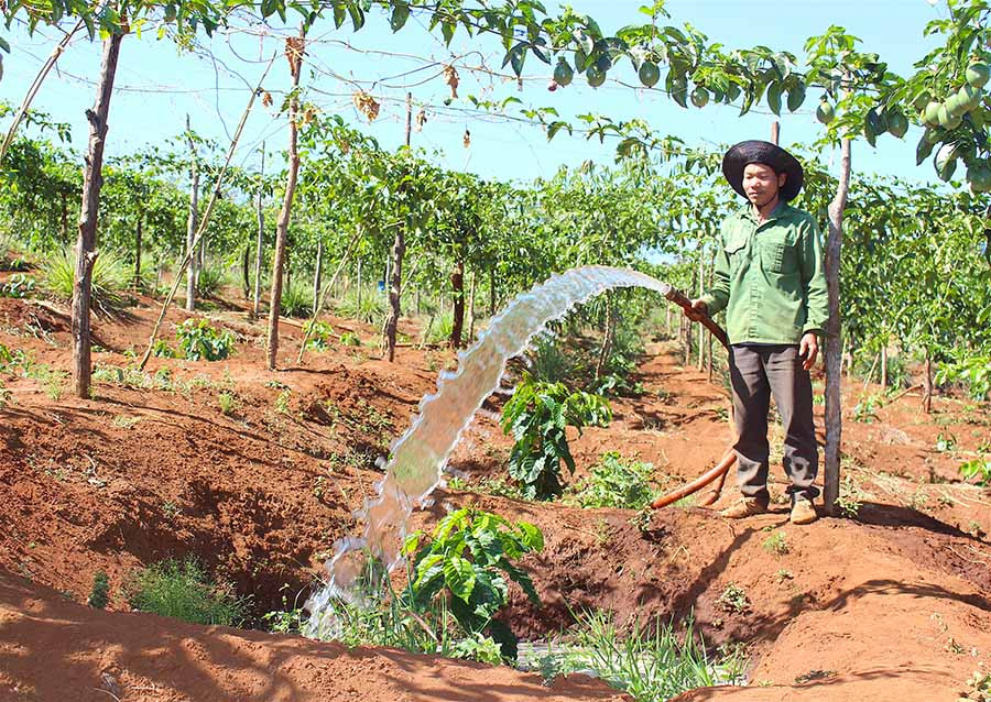  Dùng máy bơm bằng điện, nông dân tiết kiệm được 30-40% chi phí so với dùng máy bơm dầu. Ảnh: M.T