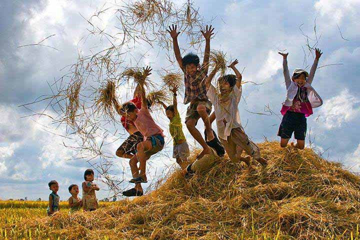 Ảnh minh họa. Ảnh minh họa.