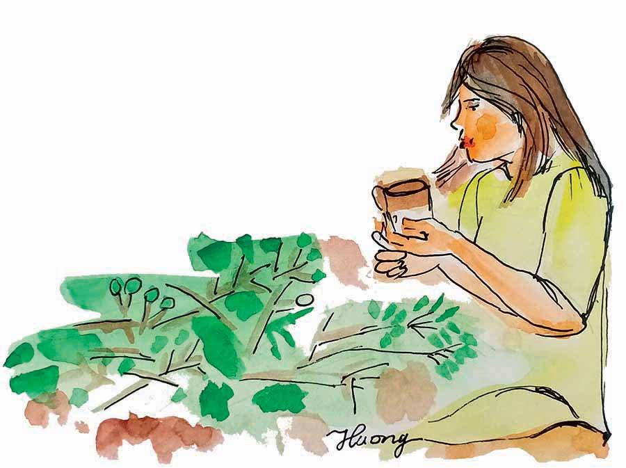  Minh họa: Kim Hương