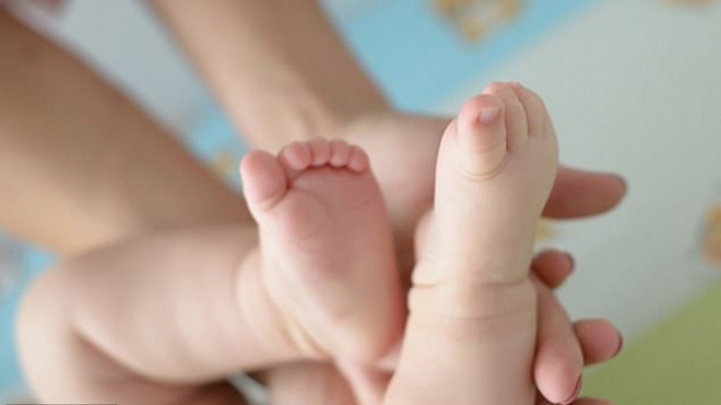  Ảnh minh họa - Shutterstock