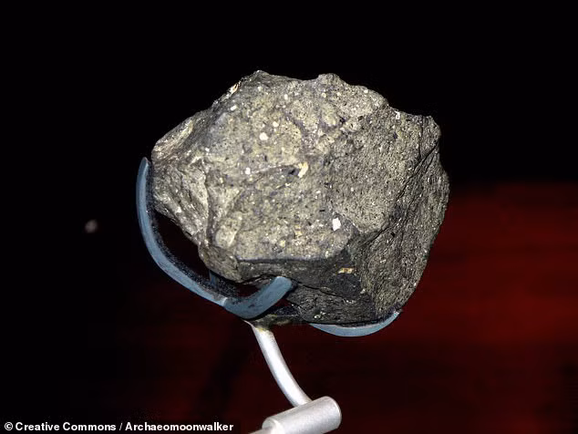  Một công cụ khác đang được phân tích - ảnh do nhóm nghiên cứu cung cấp