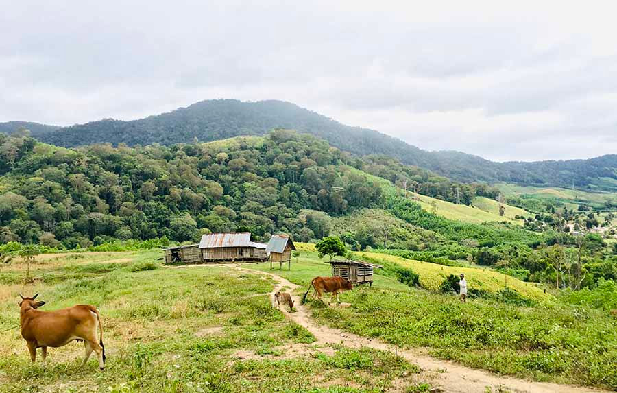 Vẻ đẹp yên bình của khu nhà đầm trên đèo Đất Đỏ (xã Krong, huyện Kbang, Gia Lai). Ảnh: L .H Vẻ đẹp yên bình của khu nhà đầm trên đèo Đất Đỏ (xã Krong, huyện Kbang). Ảnh: L .H