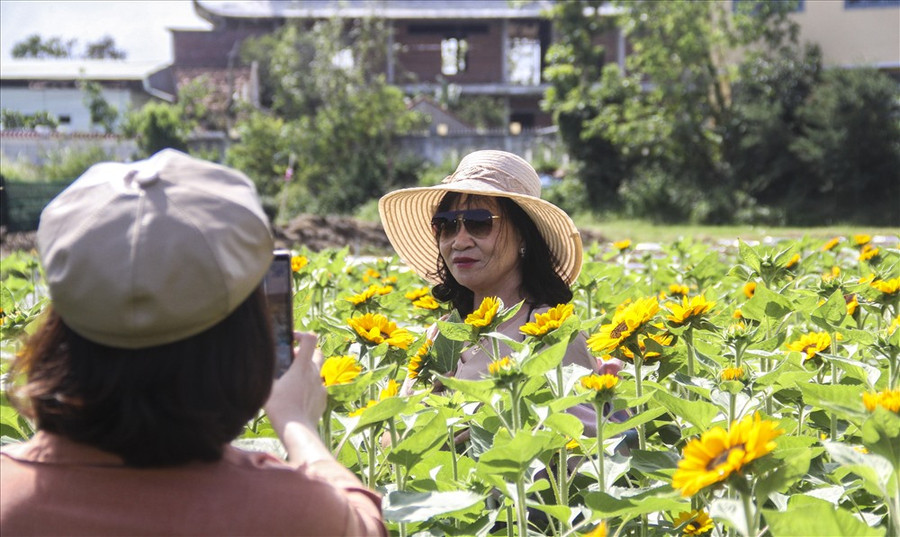  “Khách đến được miễn phí chụp ảnh, nếu khách có lòng thì mua hoa ủng hộ vườn là được rồi. Tôi thấy rất vui khi mọi người biết đến vườn và tới tham quan” - chị Miền cho biết.