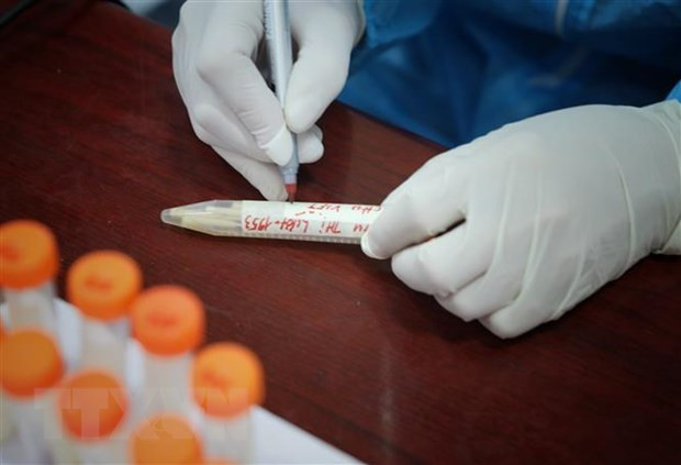 Lấy mẫu xét nghiệm COVID-19. (Nguồn: TTXVN)