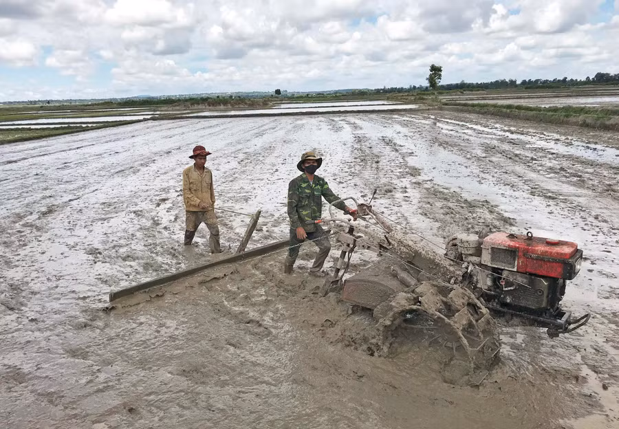 Nông dân Chư Prông chuẩn đất sản xuất vụ Đông Xuân 2021-2022. Ảnh: Nguyễn Diệp