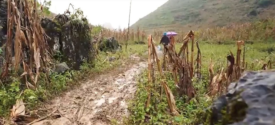 Đường vào điểm trường tại thôn Pờ Chừ Lủng. Ảnh: VTV