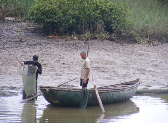 Người dân đánh bắt cá, tôm trong RNM ở cửa Lạch Ghép sông Yên (phường Hải Châu, thị xã Nghi Sơn, Thanh Hóa). Ảnh: Duy Cường 
