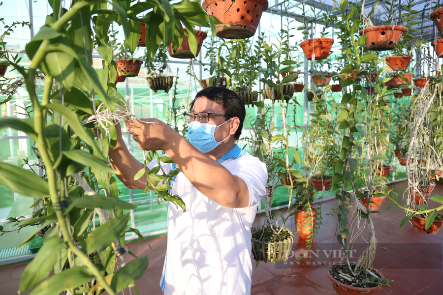 Ông Phan Xuân Thủy đã dành 20 năm để học hỏi kinh nghiệm trồng lan rừng và đầu tư cho vườn lan rừng của mình. Ảnh: Ngọc Giàu