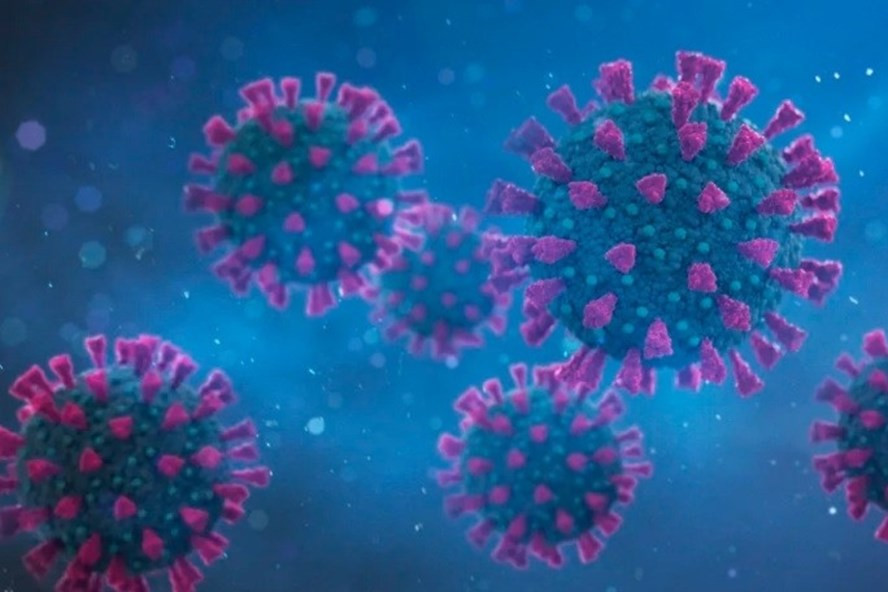 Biến thể Delta COVID-19 có thể biến mất khi nó tự đột biến, mất khả năng nhân rộng và lây lan. Ảnh minh họa: AFP