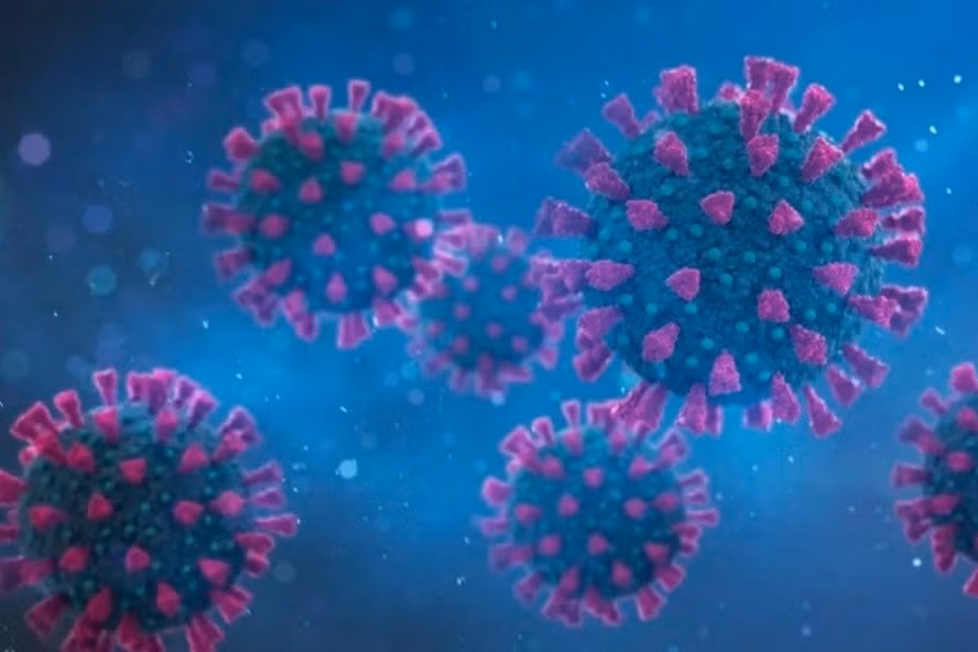 Biến thể Delta COVID-19 có thể biến mất khi nó tự đột biến, mất khả năng nhân rộng và lây lan. Ảnh minh họa: AFP