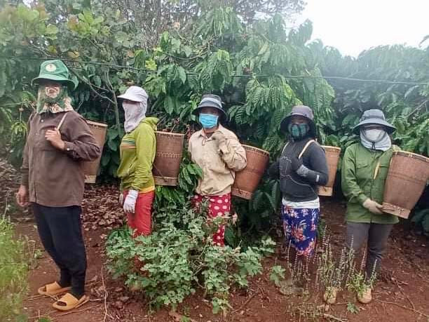 Phụ nữ làng Ô Rê 1 (xã Ia Grăng, huyện Ia Grai) sử dụng gùi khi đi rẫy, đi chợ. Ảnh: Trần Dung Phụ nữ làng Ô Rê 1 (xã Ia Grăng, huyện Ia Grai) sử dụng gùi khi đi rẫy, đi chợ... Ảnh: Trần Dung