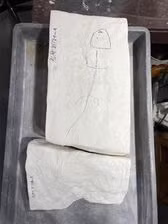 Hóa thạch của loài động vật chưa xác định. Ảnh chụp màn hình.