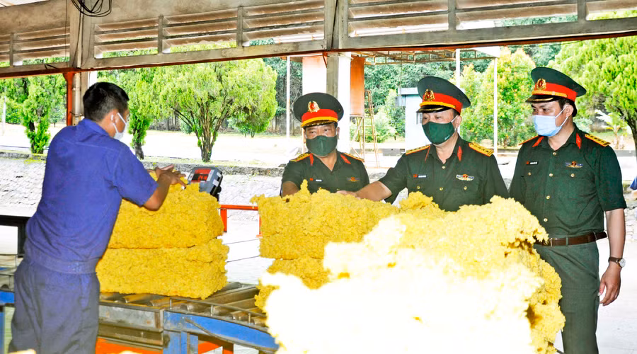 Lãnh đạo Binh đoàn 15 và Công ty 75 kiểm tra nhà máy chế biến mủ cao su của đơn vị. Ảnh: Sơn Tùng