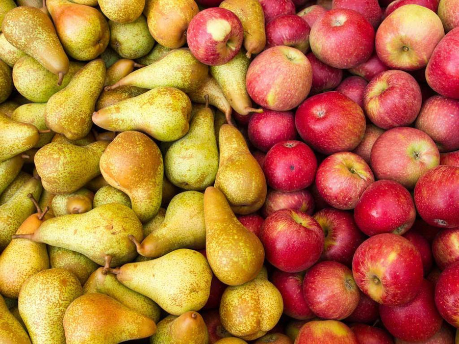 Ăn trái cây như lê, táo rất tốt cho sức khoẻ. Ảnh: Shutterstock