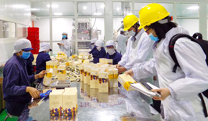 Đóng gói bao bì sản phẩm cà phê tại Công ty TNHH Vĩnh Hiệp. Ảnh Công ty cung cấp Đóng gói bao bì sản phẩm cà phê tại Công ty TNHH Vĩnh Hiệp.jpg