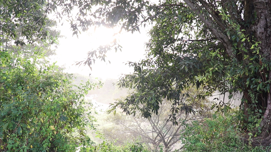 Xung quanh thác vẫn còn rất hoang sơ và có nhiều cây rừng. Ảnh: Sầm Ánh