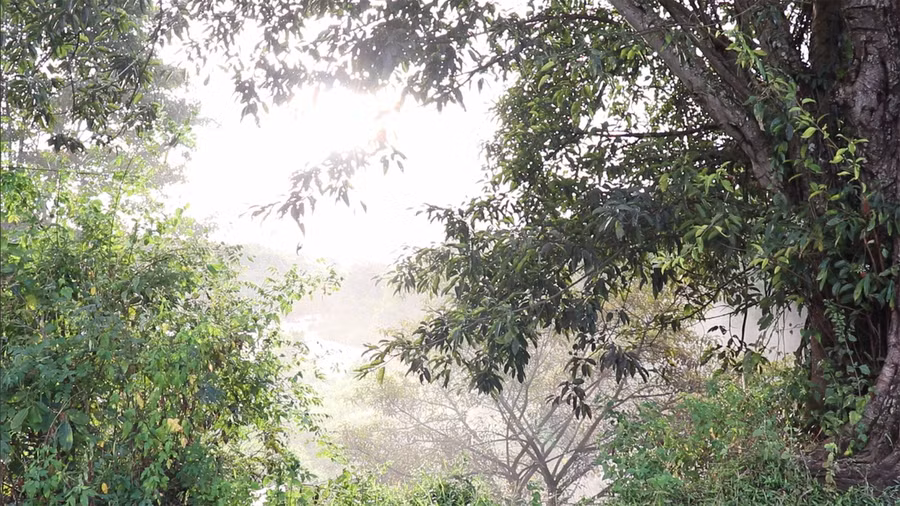 Xung quanh thác vẫn còn rất hoang sơ và có nhiều cây rừng. Ảnh: Sầm Ánh