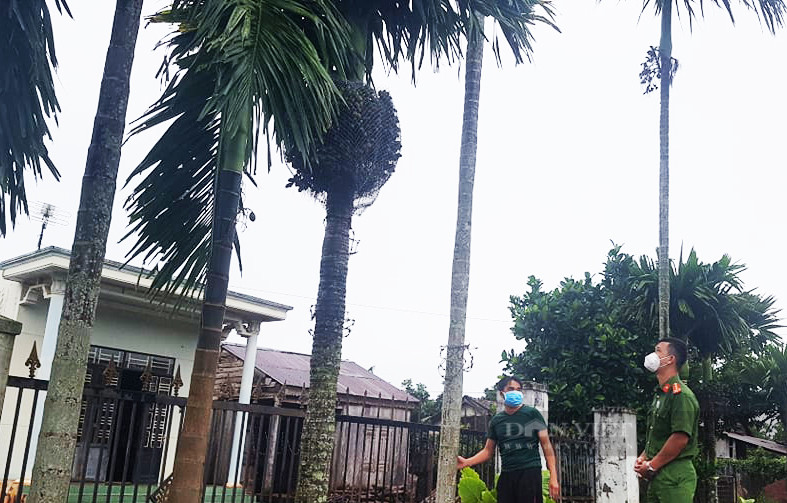 Công an huyện Cư M'gar khảo sát, điều tra các vụ trộm cắp cau trên địa bàn. Ảnh: Duy Hậu