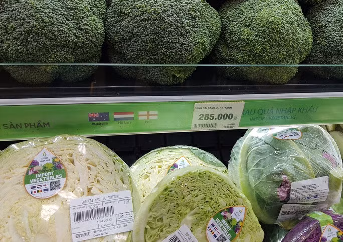  Bắp cải nhập khẩu đặc ruột hơn hàng nội địa