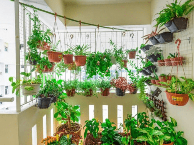 Thường xuyên cho cây cảnh ra ngoài "tắm nắng" với những cây cần một chút ánh sáng mặt trời. Thường xuyên cho cây cảnh ra ngoài