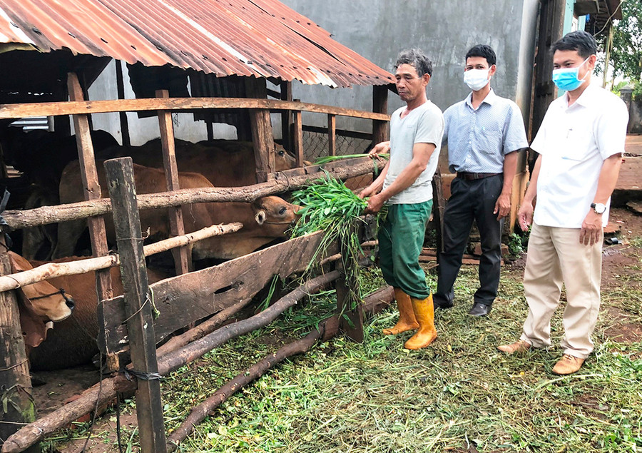 Anh Siu Lêng (ở giữa) cùng Bí thư Đảng ủy xã Ia Hlốp tuyên truyền người dân làng Tel phát triển nuôi bò nhốt chuồng để nâng cao thu nhập. Ảnh: Hà Tây Anh Siu Lêng (ở giữa) cùng Bí thư Đảng ủy xã Ia Hlốp tuyên truyền người dân làng Tel phát triển nuôi bò nhốt chuồng để nâng cao thu nhập. Ảnh: Hà Tây