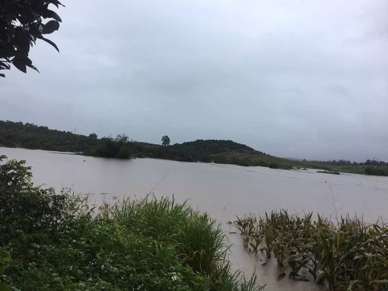 Ao cá của gia đình ông Lê Văn Liễu (thôn 5, xã Cư San, M’Đrắk) bị san bằng. Ảnh: T.L