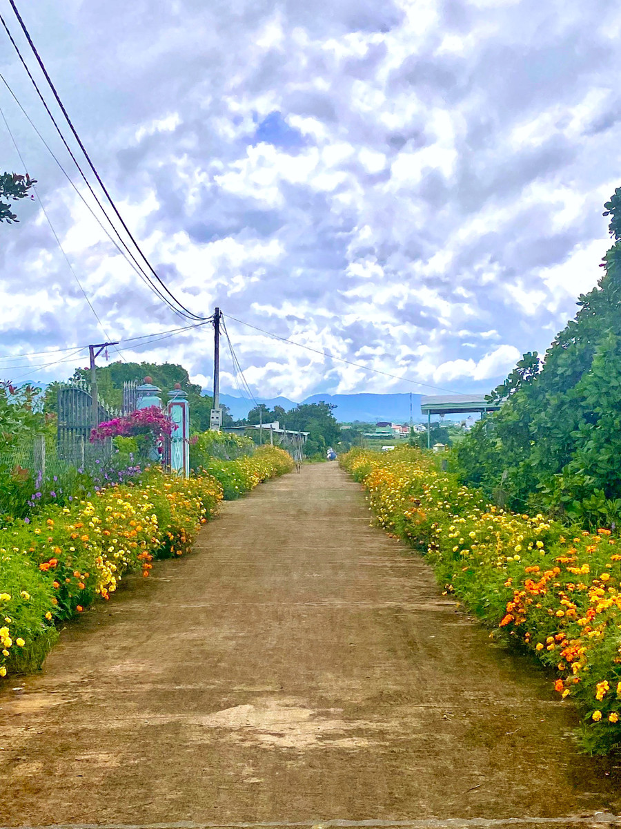 Con đường hoa của phụ nữ thôn Quỳnh Phú, Ia Rsiơm, huyện Krông Pa. Ảnh: Hoàng Ngọc