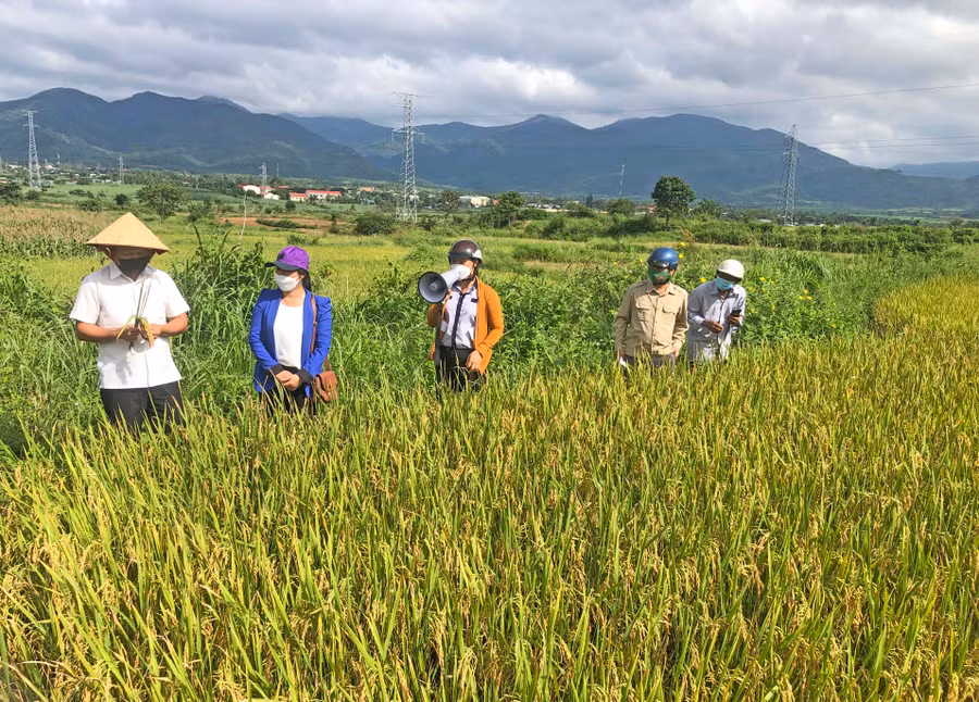 Quang cảnh buổi nghiệm thu. Ảnh: Lan Anh
