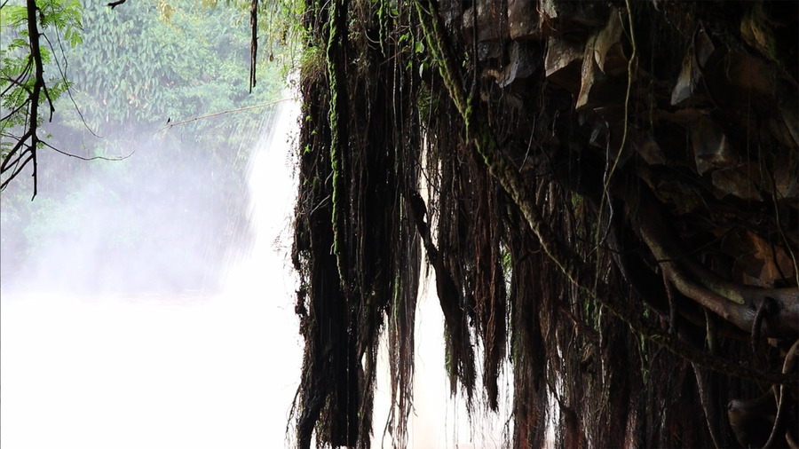 Các rễ cây rừng treo xuống tạo nên điểm nhấn cho con thác. Ảnh: Sầm Ánh