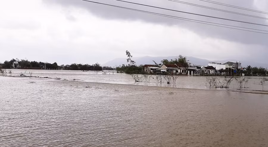 Khu dân cư thôn Chánh Định, xã Cát Chánh bị lũ bủa vây. Ảnh: Minh Lê