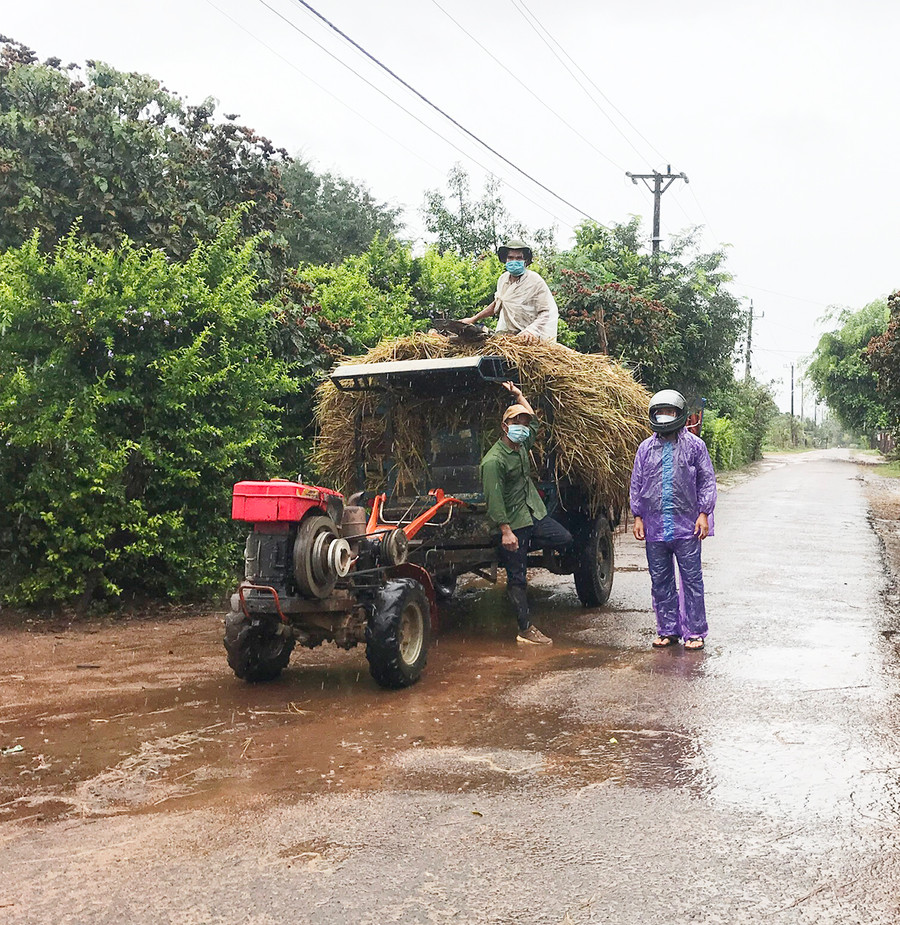 Ủy ban nhân dân xã Hà Bầu tiếp nhận lúa đã thu hoạch để bảo quản cho người dân. Ảnh: Nguyễn Diệp