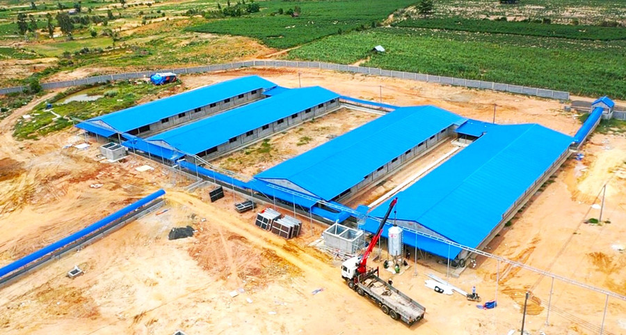  Dự án chăn nuôi công nghệ cao Ricky Farm 79 (huyện Phú Thiện) đang hoàn thiện những hạng mục cuối cùng. Ảnh: Kim Linh