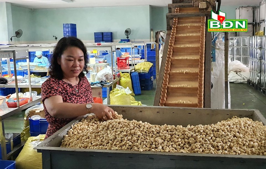 Bà Nguyễn Thị Minh Nguyệt, Giám đốc Công ty TNHH Hồng Đức đã có nhiều đóng góp cho công tác phòng, chống dịch Covid-19