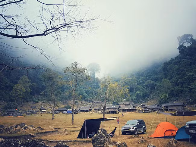 Tận hưởng thú tao nhã 