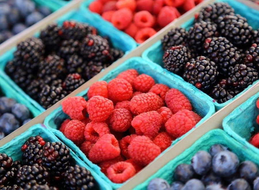 Các loại quả mọng. Ảnh: Shutterstock