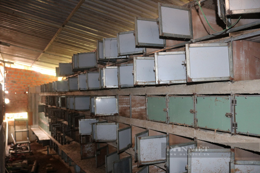 Toàn bộ cảnh chuồng trại nuôi dúi giống của anh Đào Anh Tuấn Toàn bộ cảnh chuồng trại nuôi dúi giống của anh Đào Anh Tuấn