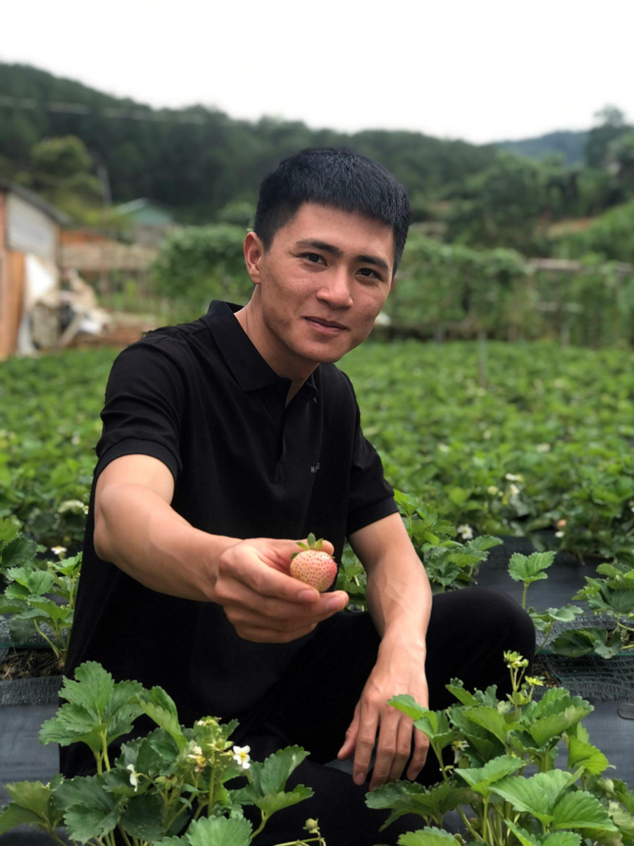 Thịnh hạnh phúc khi chinh phục được giống dâu này ngoài trời