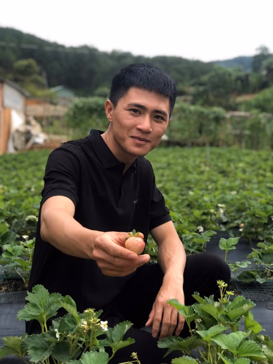 Thịnh hạnh phúc khi chinh phục được giống dâu này ngoài trời