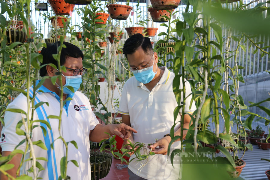 Ông Thủy say mê khi chia sẻ với PV về kinh nghiệm chăm sóc hoa lan. Ảnh: N.G