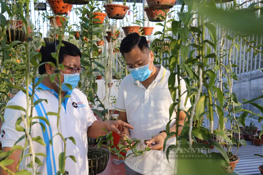 Ông Thủy say mê khi chia sẻ với PV về kinh nghiệm chăm sóc hoa lan. Ảnh: N.G