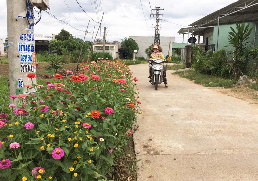 Đường giao thông ở thôn Tân Sơn (xã Tân An, huyện Đak Pơ) trở nên tươi tắn nhờ được điểm tô bởi các loại hoa. Ảnh: Nhật Hào