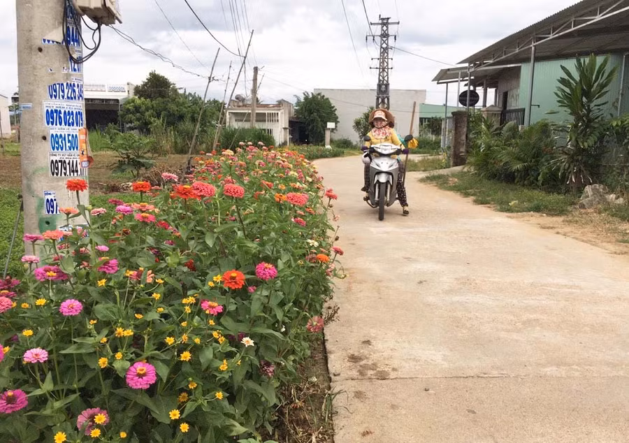 Đường giao thông ở thôn Tân Sơn (xã Tân An, huyện Đak Pơ) trở nên tươi tắn nhờ được điểm tô bởi các loại hoa. Ảnh: Nhật Hào