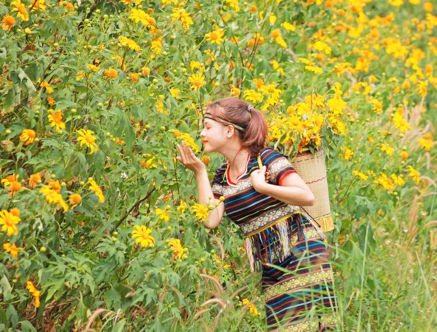 Thiếu nữ bên hoa dã quỳ. Ảnh: Thế Dũng