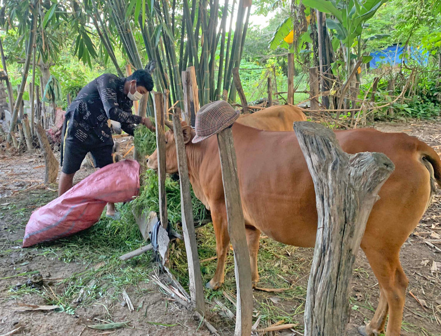 Từ một thanh niên thường xuyên gây mất an toàn giao thông, nhờ Đội thanh niên tình nguyện tuyên truyền, hiện nay, anh R'Ô Cao (buôn Biah A, xã Ia Tul) đã chăm chỉ làm ăn, phát triển kinh tế gia đình.Ảnh.Vũ 